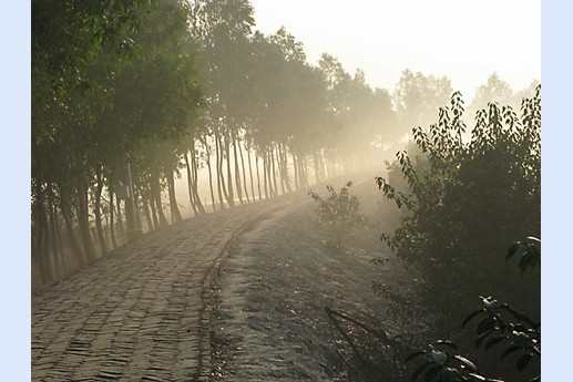 Viaggio in India 2008 - Sunderbans